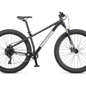 Switchback 1 - 29in